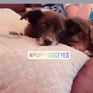 Meet your Posher, Andrea